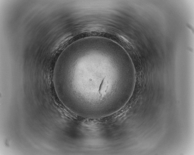 X0000096470774200801241428