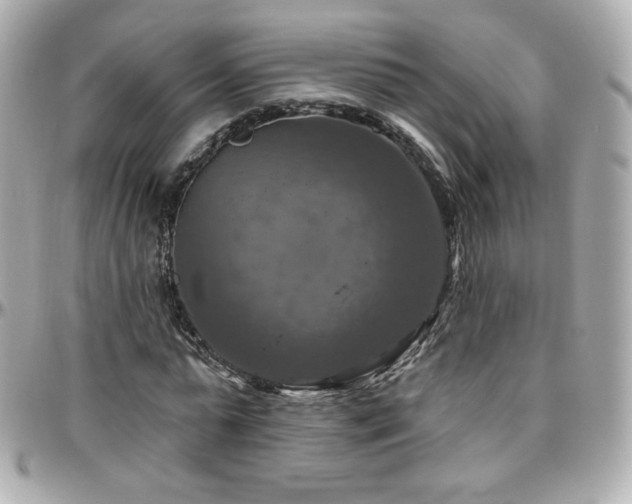 X0000096470775200801241428