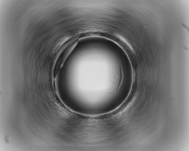 X0000096470777200801241428