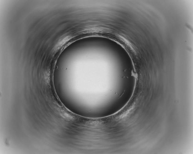 X0000096470778200801241428