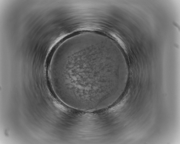 X0000096470779200801241428