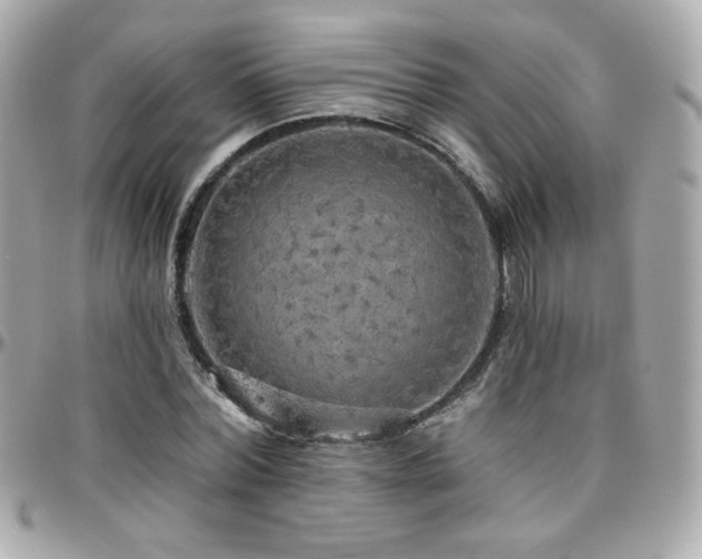 X0000096470780200801241428