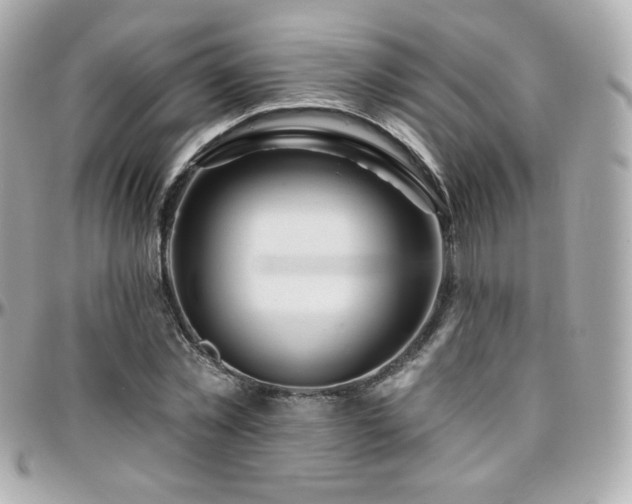 X0000096470781200801241428