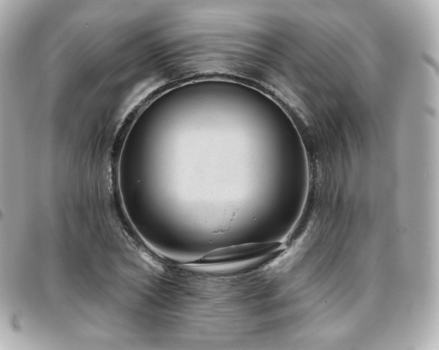 X0000096470782200801241428