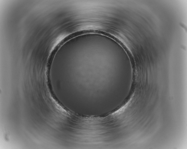 X0000096470783200801241428