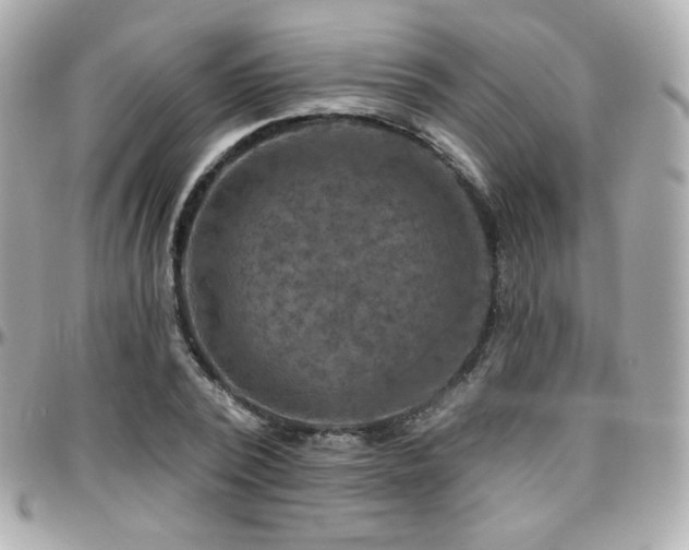 X0000096470784200801241428