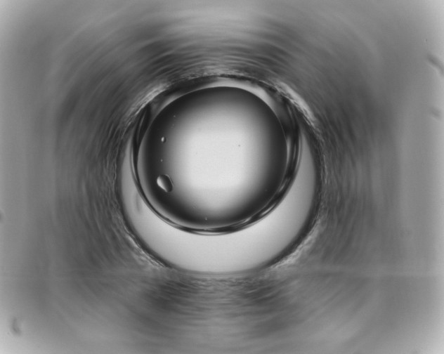 X0000096470785200801241428