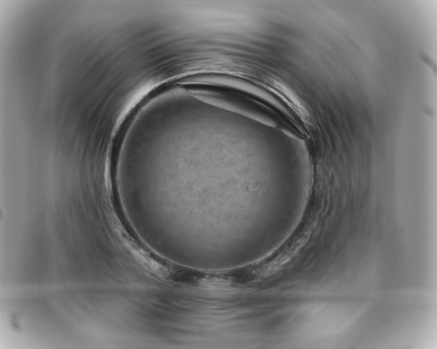 X0000096470788200801241428