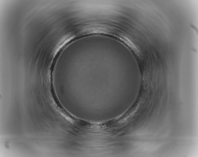 X0000096470790200801241428