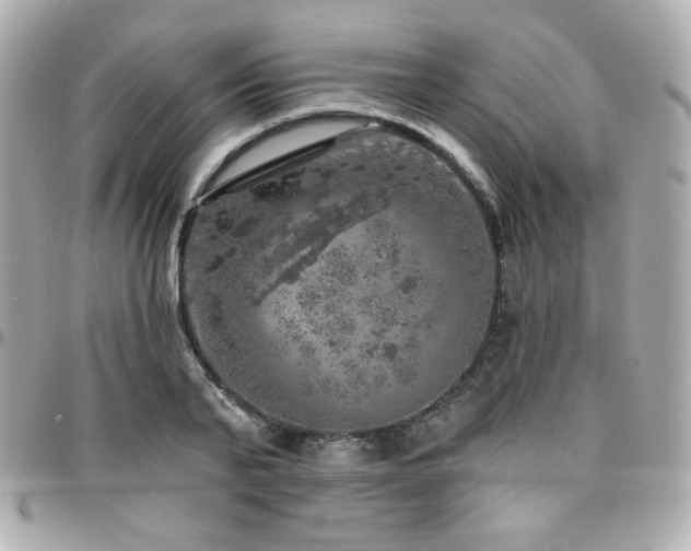 X0000096470791200801241428