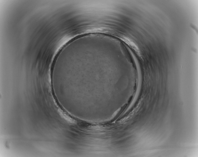 X0000096470792200801241428