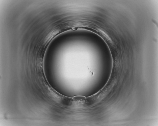 X0000096470793200801241428