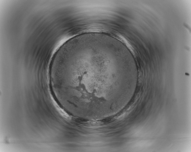 X0000096470795200801241428