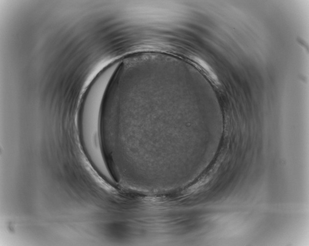 X0000096470796200801241428