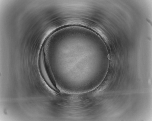 X0000096470799200801241427