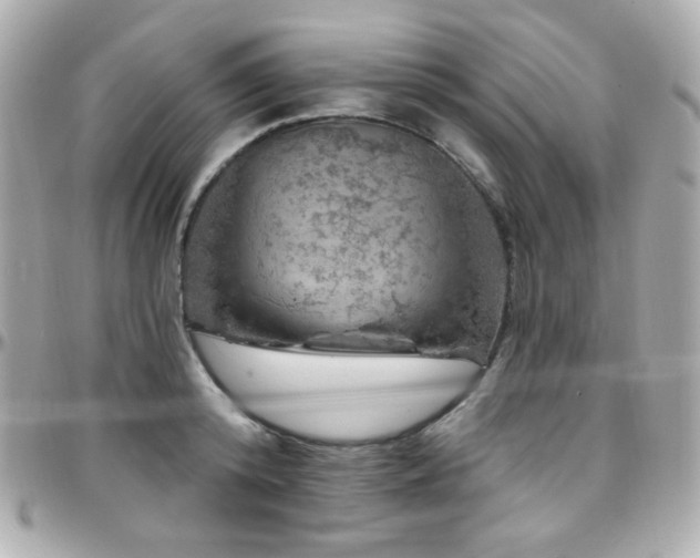 X0000096470800200801241427