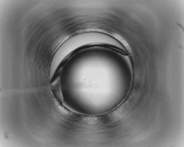 X0000096470801200801241427