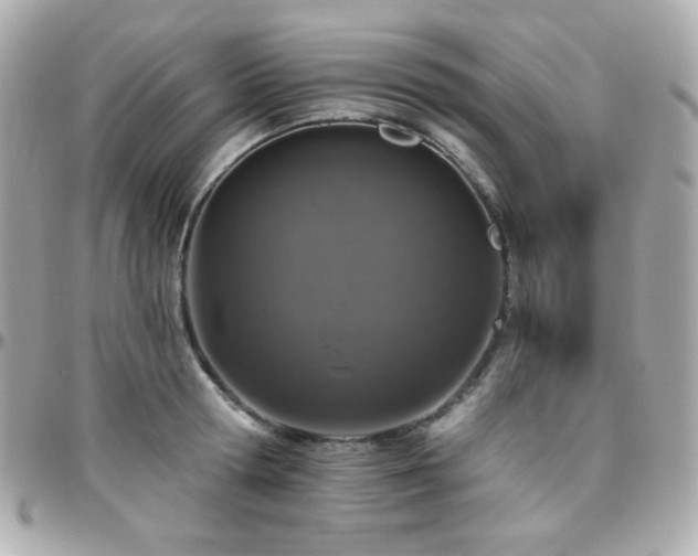 X0000096470802200801241427