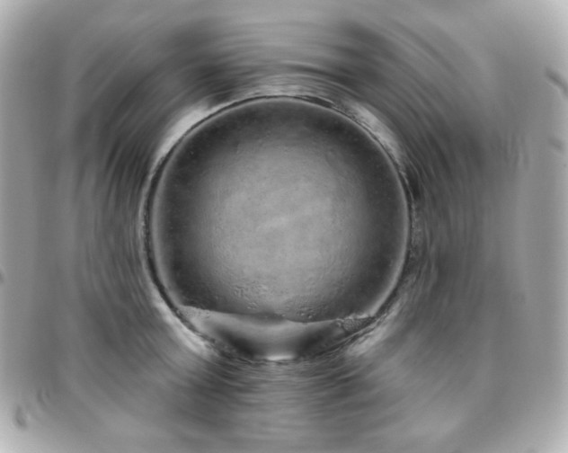 X0000096470803200801241427