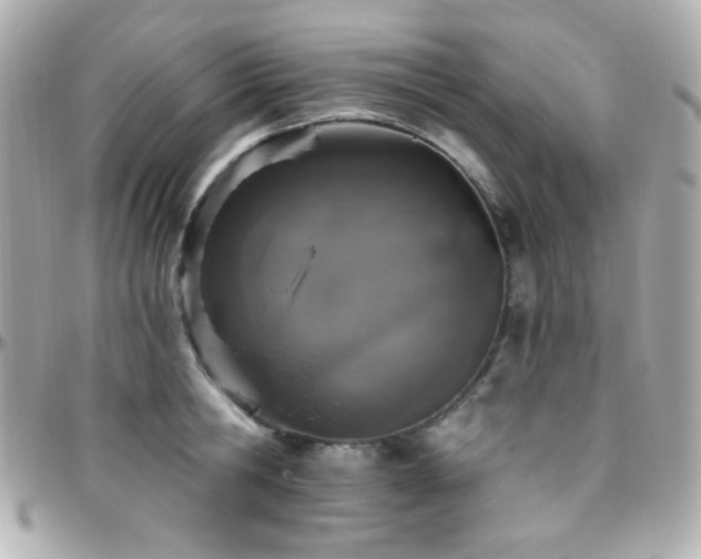 X0000096470806200801241427