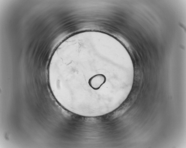 X0000096470807200801241427