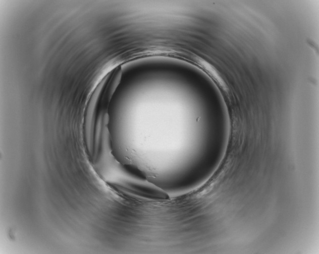 X0000096470810200801241427