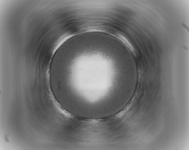 X0000096470814200801241427