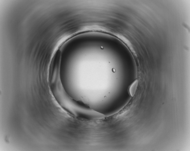 X0000096470815200801241427