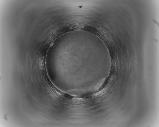 X0000096470818200801241427