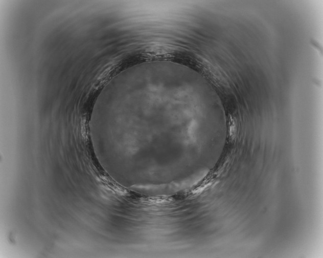 X0000096470819200801241427