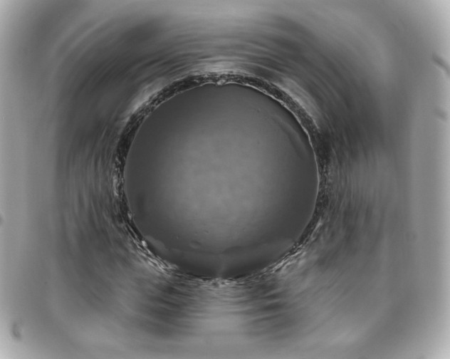 X0000096470823200801241427