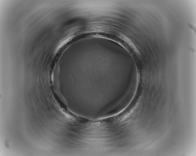 X0000096470826200801241427