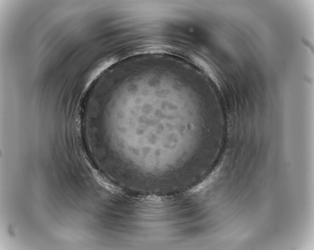 X0000096470827200801241427