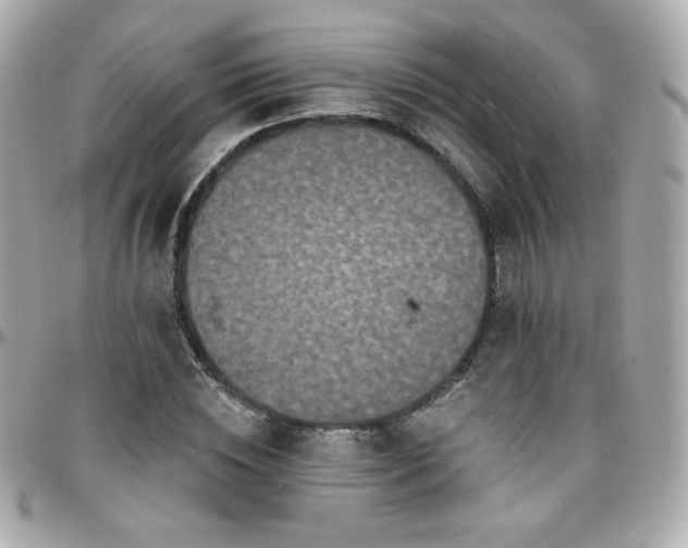 X0000096470828200801241427