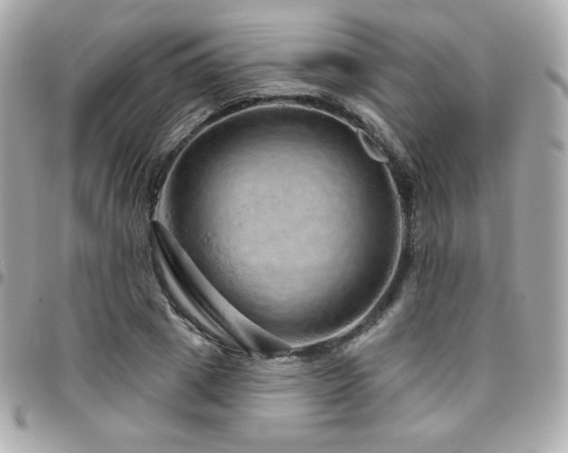 X0000096470833200801241427