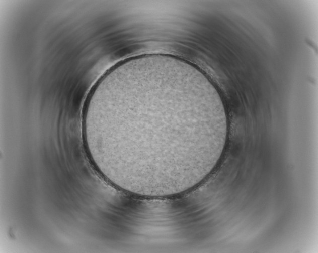 X0000096470836200801241427