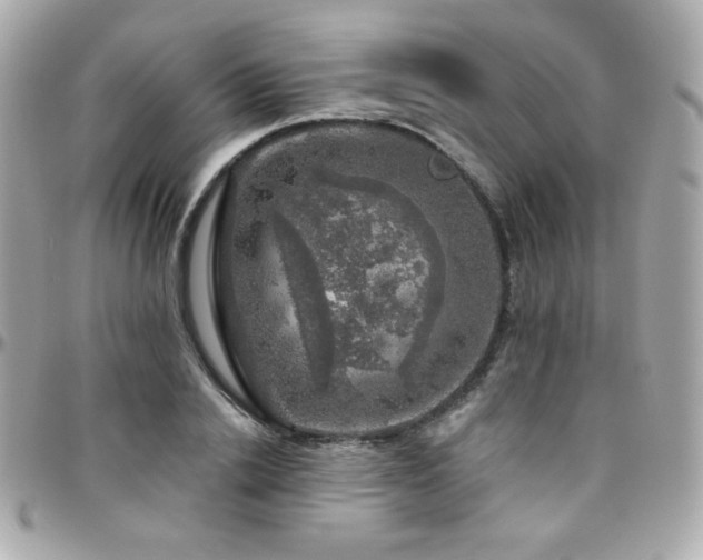 X0000096470838200801241427