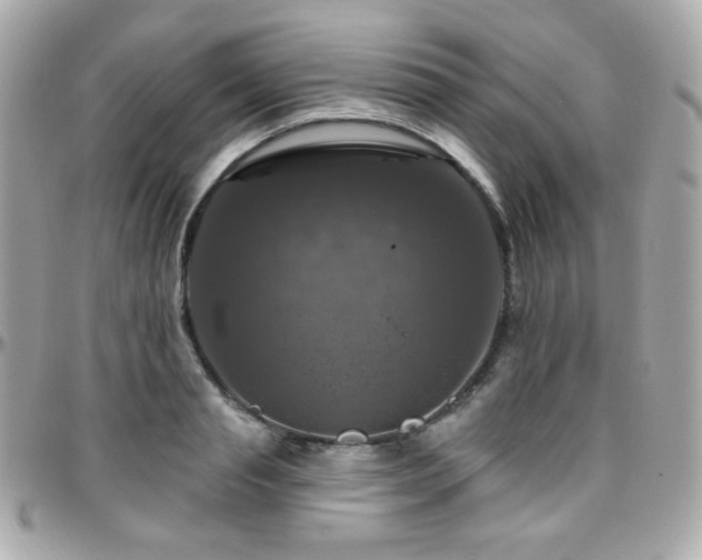 X0000096470845200801241427