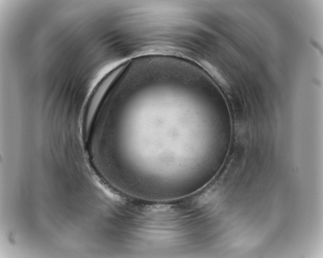 X0000096470846200801241427