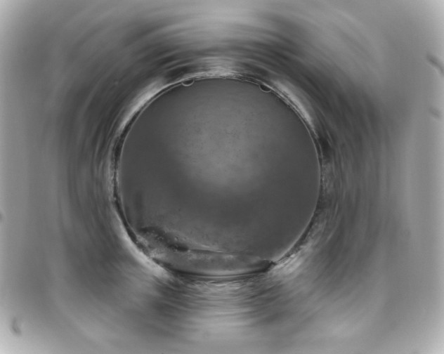 X0000096470851200801241427