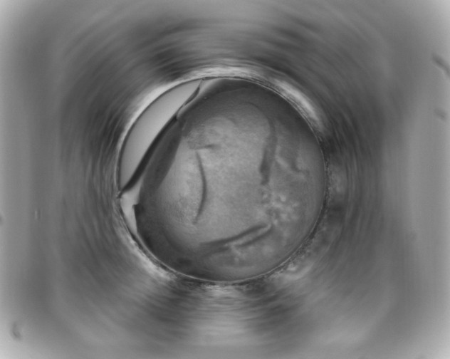 X0000096470852200801241427