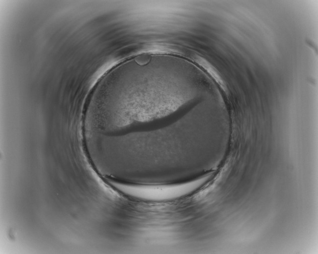 X0000096470853200801241427