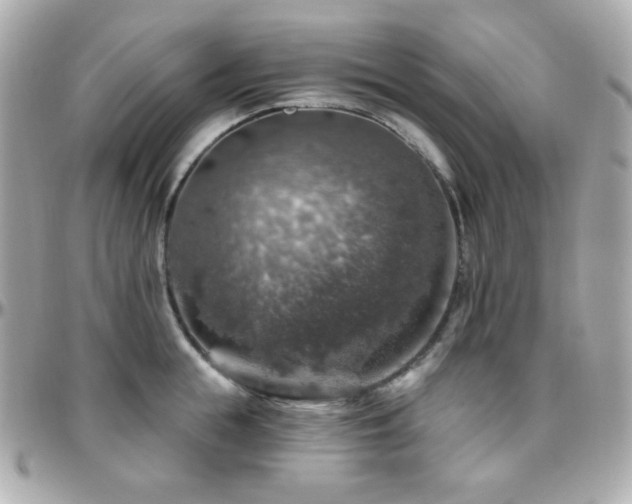 X0000096470855200801241427