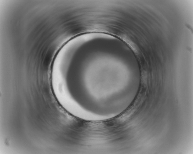 X0000096470856200801241427