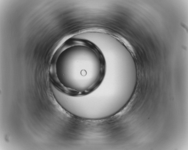 X0000096470860200801241427