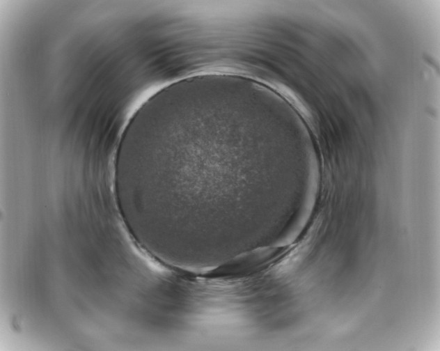 X0000096470862200801241427