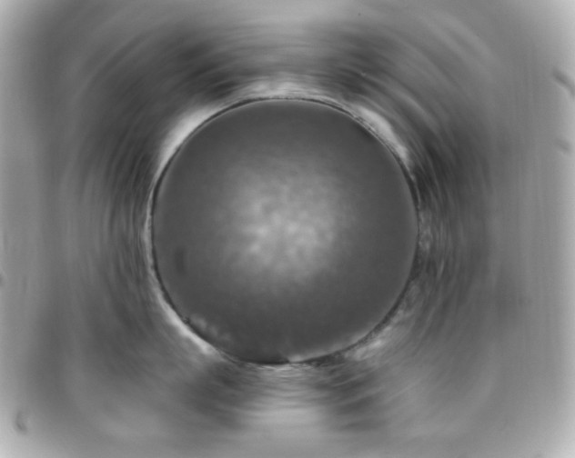 X0000096470863200801241427