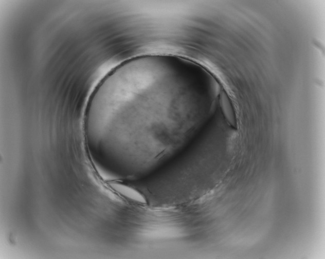 X0000096470864200801241427