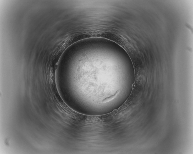 X0000096470866200801241427