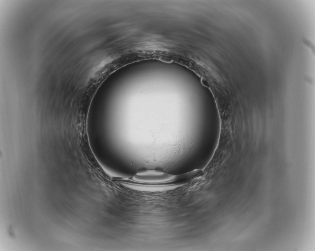 X0000096470870200801241426